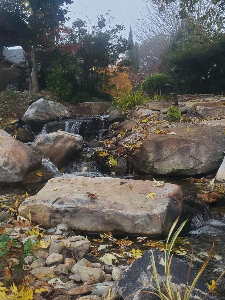 Stream side stroll by Plant Man - Photo 2