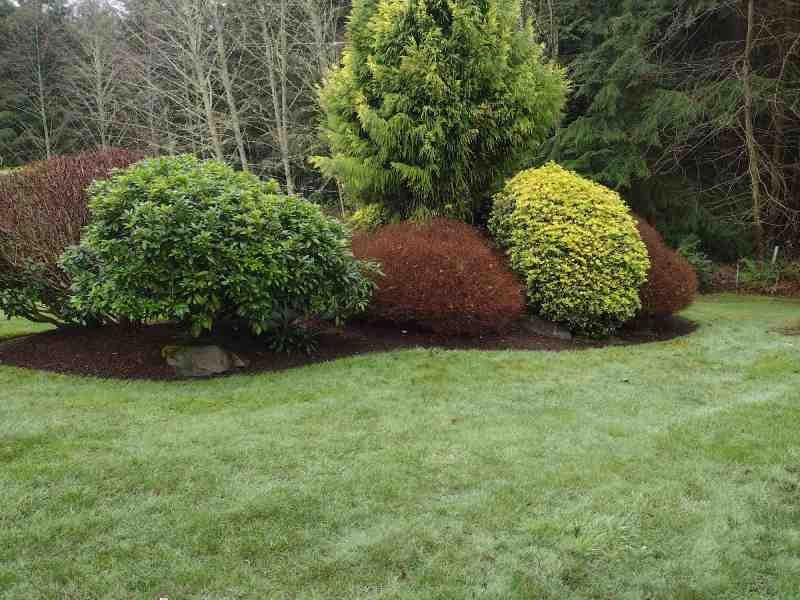 Sanchez Landscaping LLC by Sanchez Landscaping LLC - Photo 41