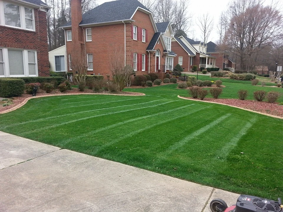 Various Projects by Plant Man - Photo 7