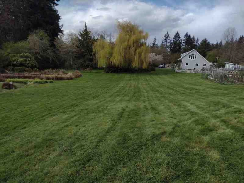 Sanchez Landscaping LLC by Sanchez Landscaping LLC - Photo 24