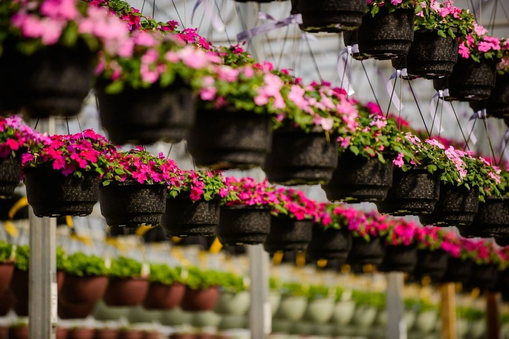 Growing Fabulous for You by Sargent's Gardens - Photo 44