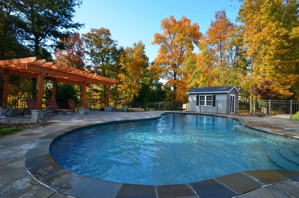 Fall In The Foothills by Iris Design Associates - Photo 37