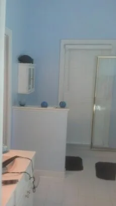 Nostalgic Vintage Retro Bathroom Renovation Cary NC by Paradise Found Construction - Photo 9