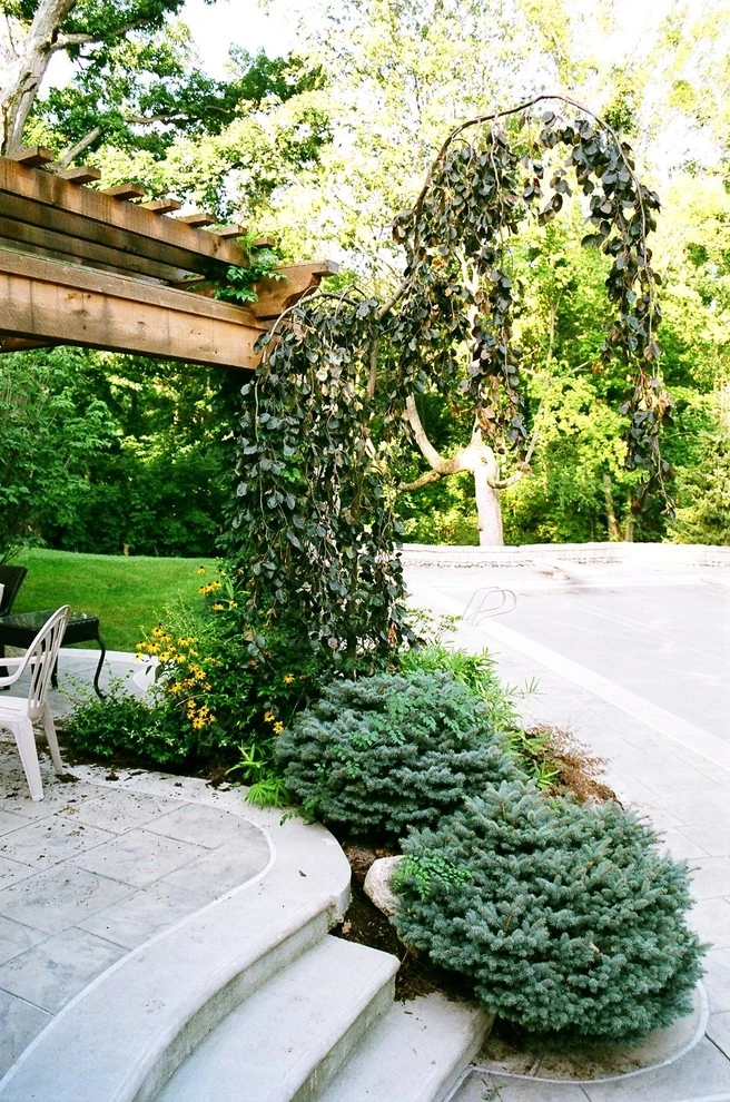 Private Residence, Backyard by Pro Care Horticultural Services - Photo 43