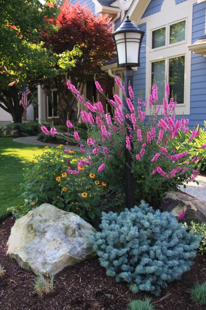 Freidman by Pro Care Horticultural Services - Photo 5