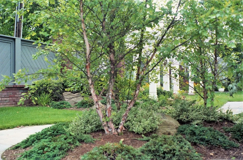 The Keener Residence by Pro Care Horticultural Services - Photo 5