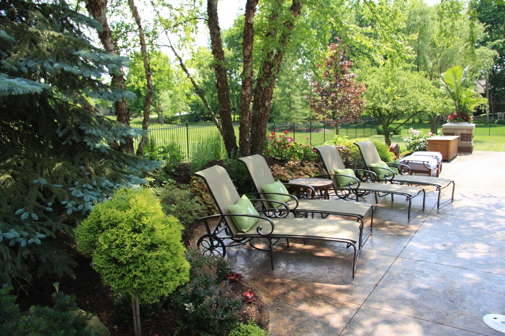 Drics Residence, Backyard by Pro Care Horticultural Services - Photo 10