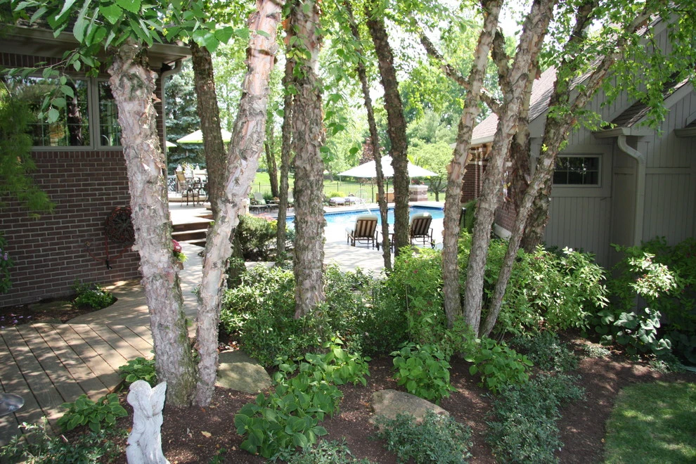 Drics Residence, Backyard by Pro Care Horticultural Services - Photo 56