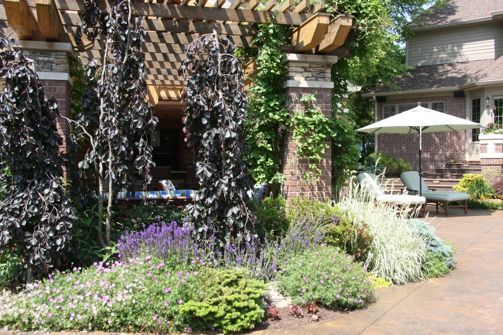 Drics Residence, Backyard by Pro Care Horticultural Services - Photo 37