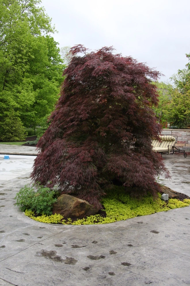 Koslowski Residence by Pro Care Horticultural Services - Photo 113