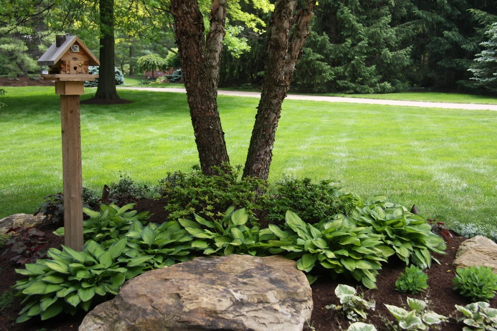 Bruen Residence by Pro Care Horticultural Services - Photo 14