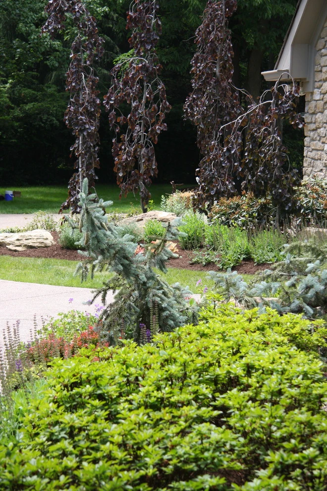 Bruen Residence by Pro Care Horticultural Services - Photo 53