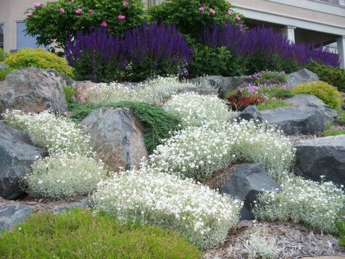Planting Design and Plant Combinations by Sargent's Gardens - Photo 18