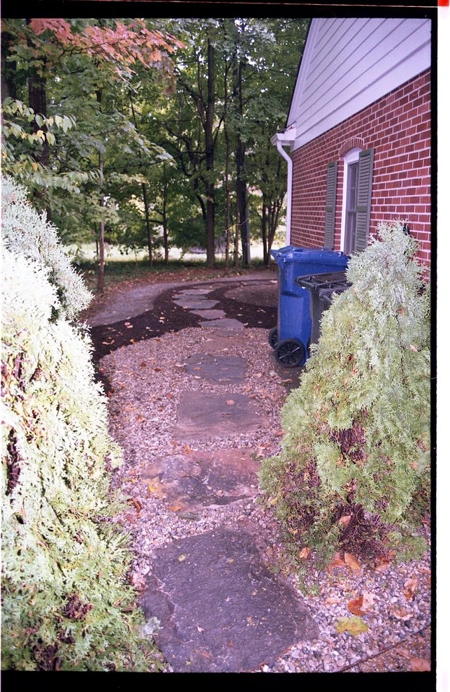 Laikin 3rd Home by Pro Care Horticultural Services - Photo 8