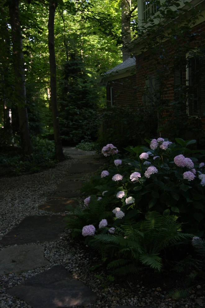 Laikin 3rd Home by Pro Care Horticultural Services - Photo 64