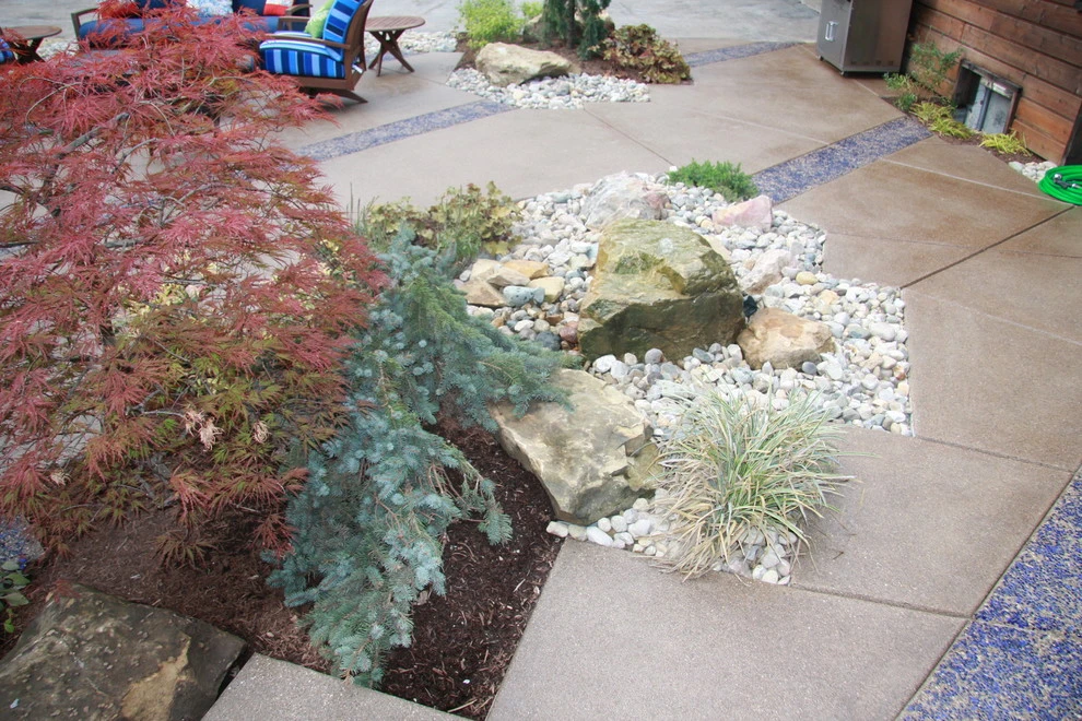Tuohy Residence by Pro Care Horticultural Services - Photo 6