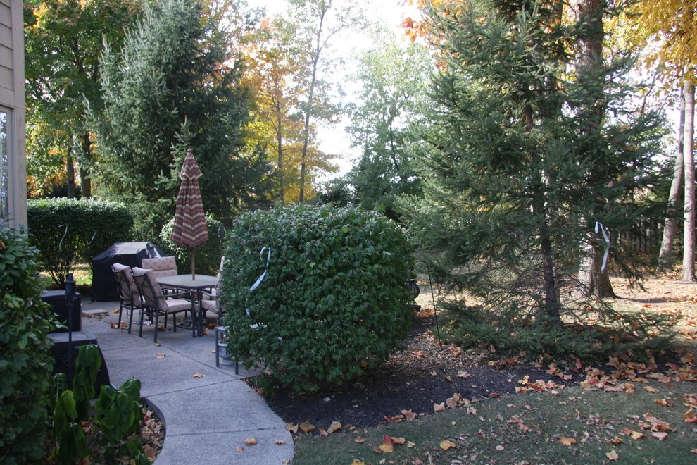 Fleming Residence by Pro Care Horticultural Services - Photo 19