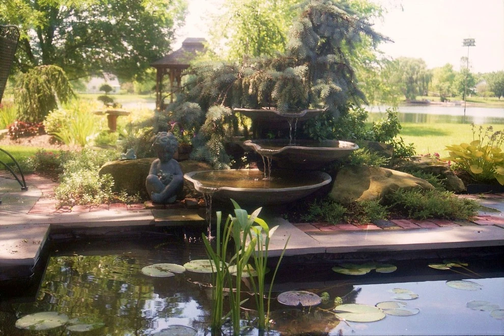 Pro Care Horticultural Services - Photo 10
