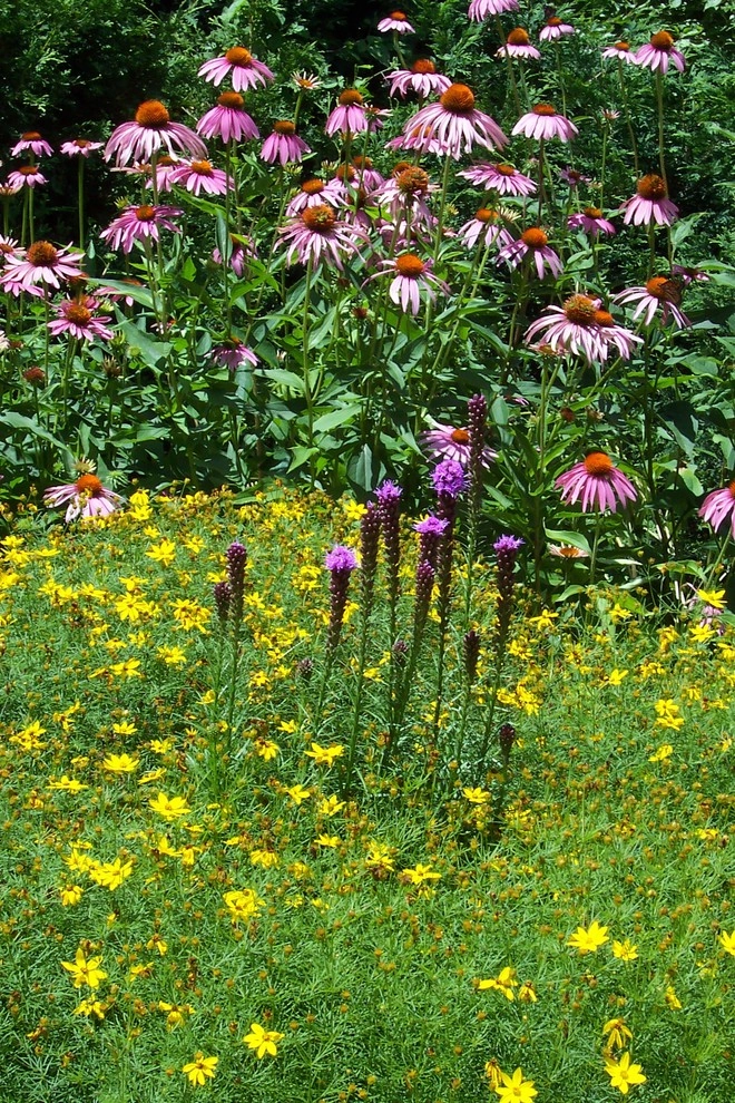Planting Design and Plant Combinations by Sargent's Gardens - Photo 5