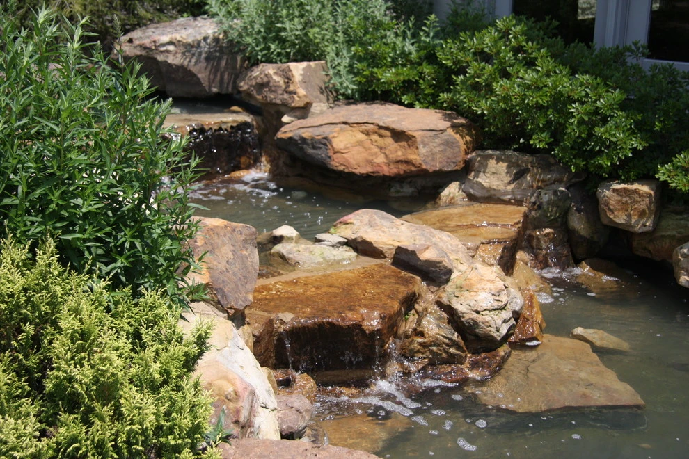 The Mann Residence by Pro Care Horticultural Services - Photo 51