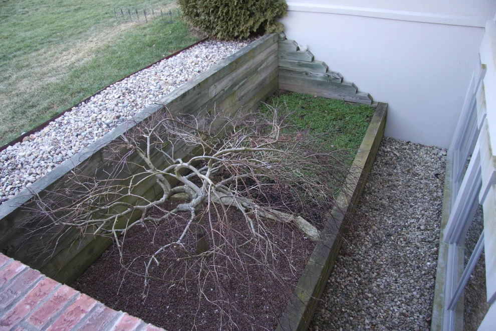 The Mann Residence by Pro Care Horticultural Services - Photo 66