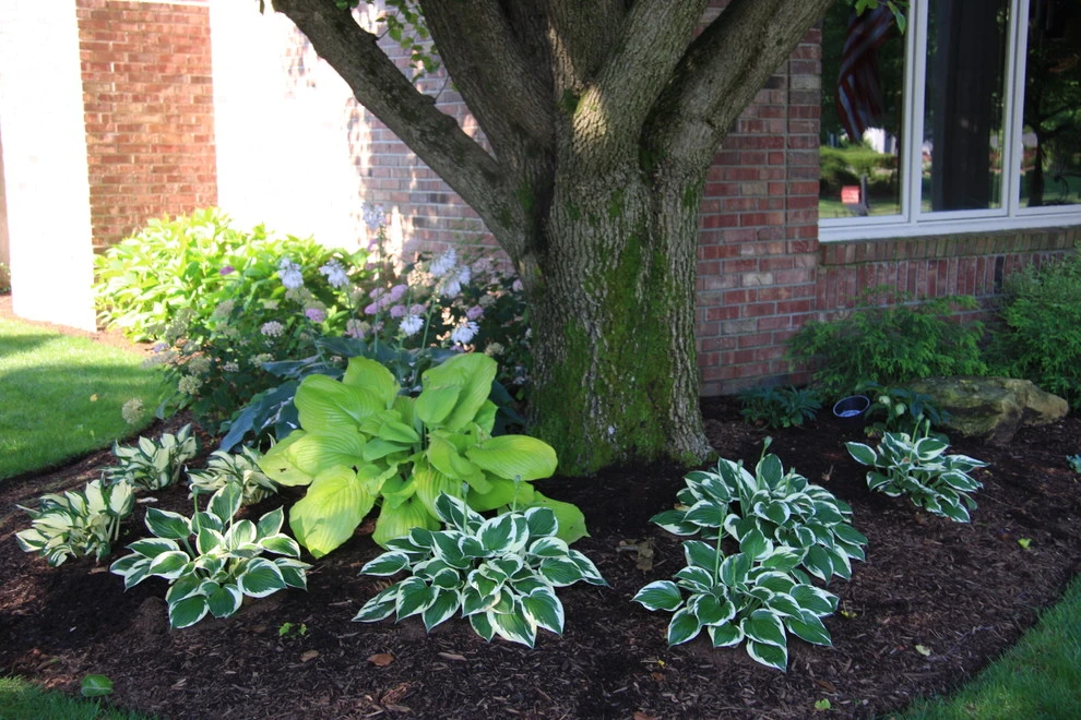 Freidman by Pro Care Horticultural Services - Photo 6