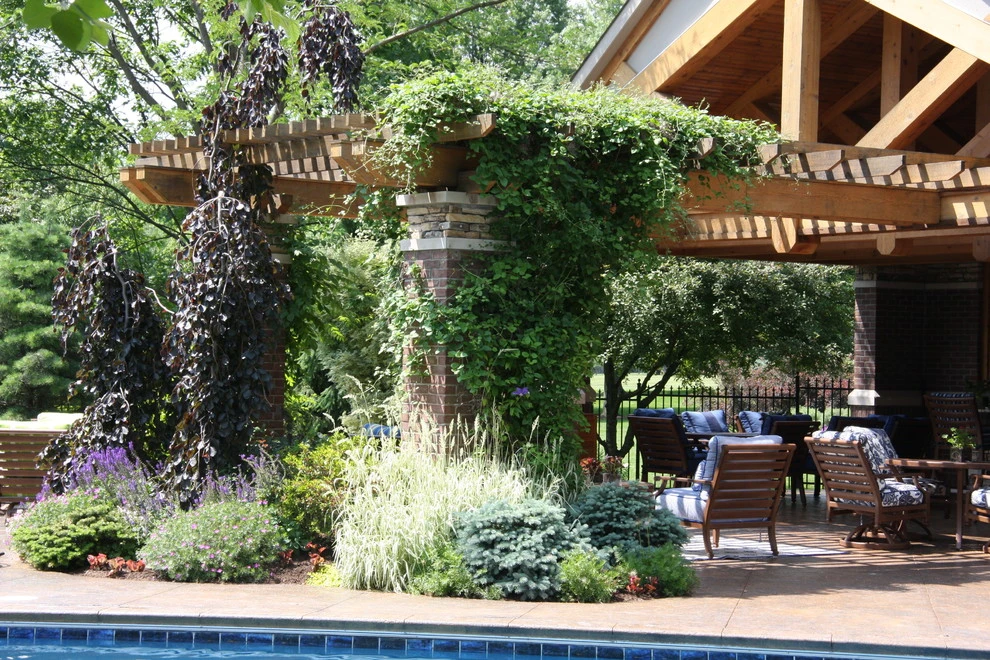 Drics Residence, Backyard by Pro Care Horticultural Services - Photo 80