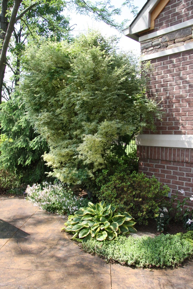 Drics Residence, Backyard by Pro Care Horticultural Services - Photo 76