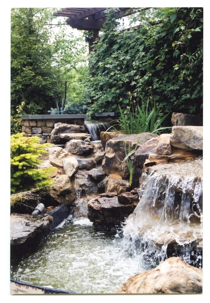 Lot 62 backyard by Pro Care Horticultural Services - Photo 2