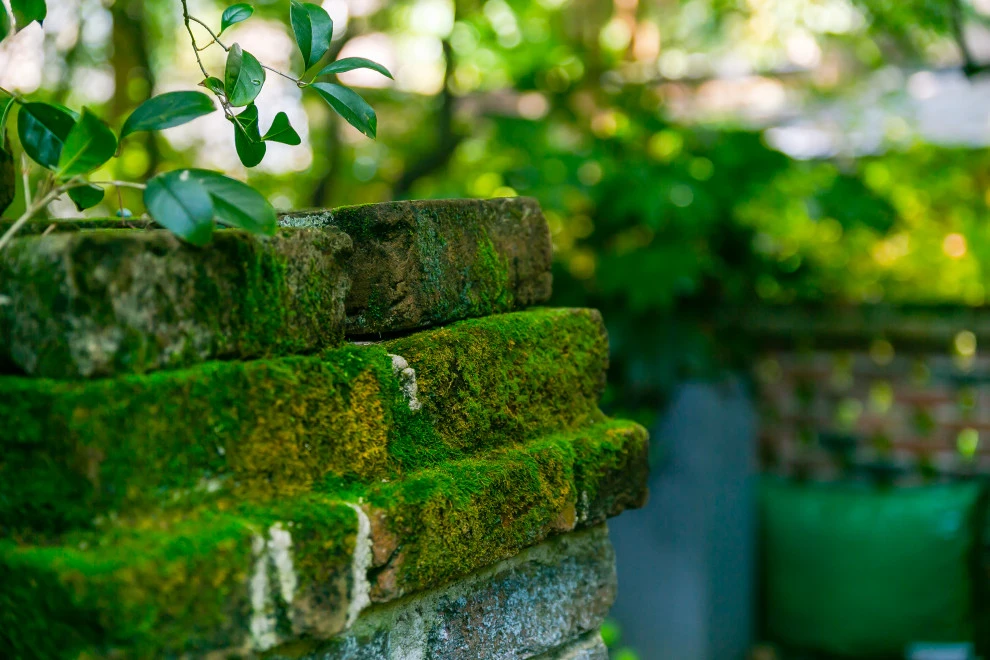 Downtown Renovation - Charleston by Remark - Photo 7
