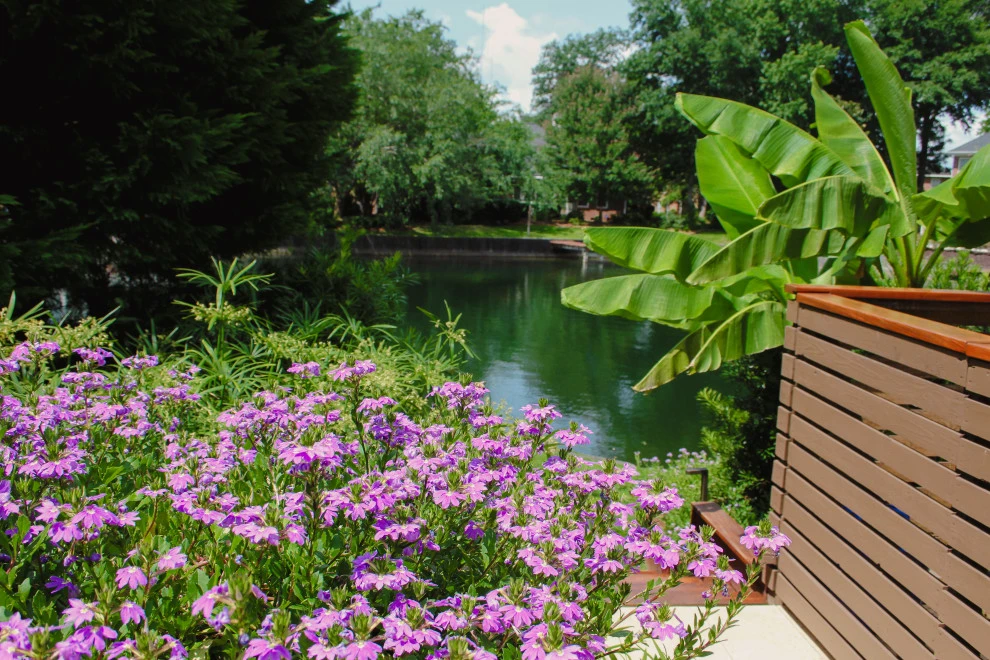 SC Tri-State ASLA Award winning project, Hidden Lakes by Remark - Photo 3