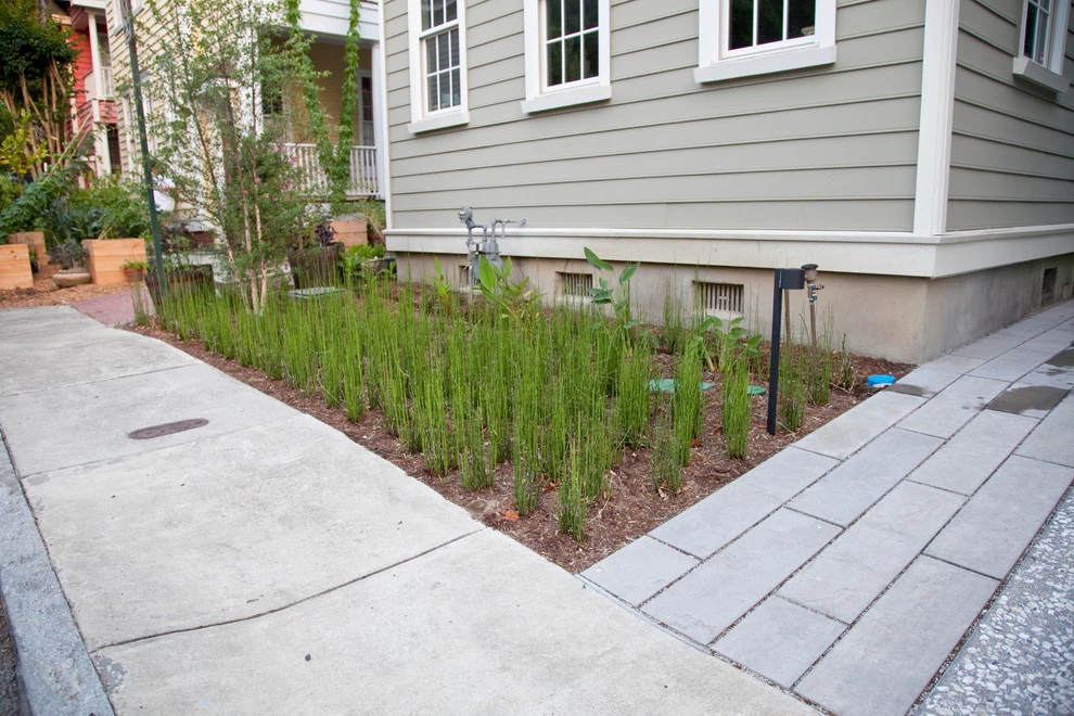 Modern Garden in Historic District by Remark - Photo 6