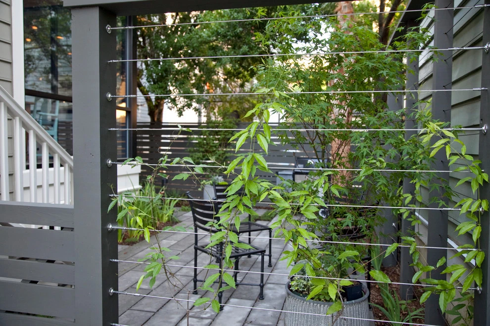 Modern Garden in Historic District by Remark - Photo 5