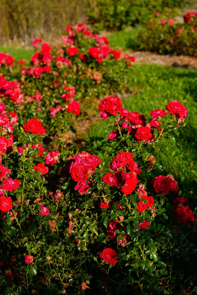 A Touch of Tuscany by Sargent's Gardens - Photo 6
