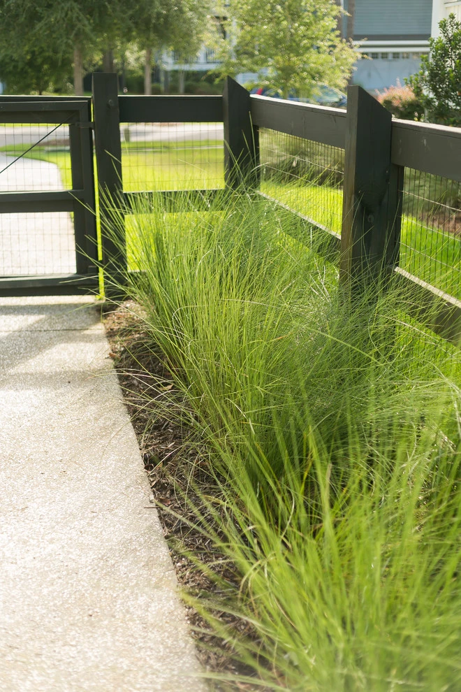 Mt. Pleasant, Backyard Upgrade by Remark - Photo 6
