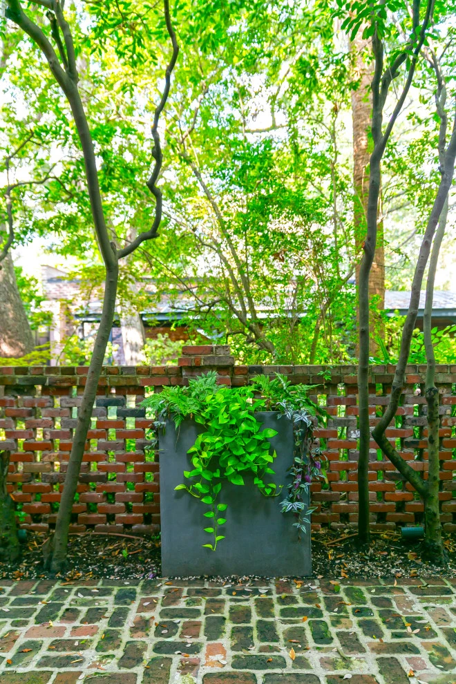 Downtown Renovation - Charleston by Remark - Photo 11