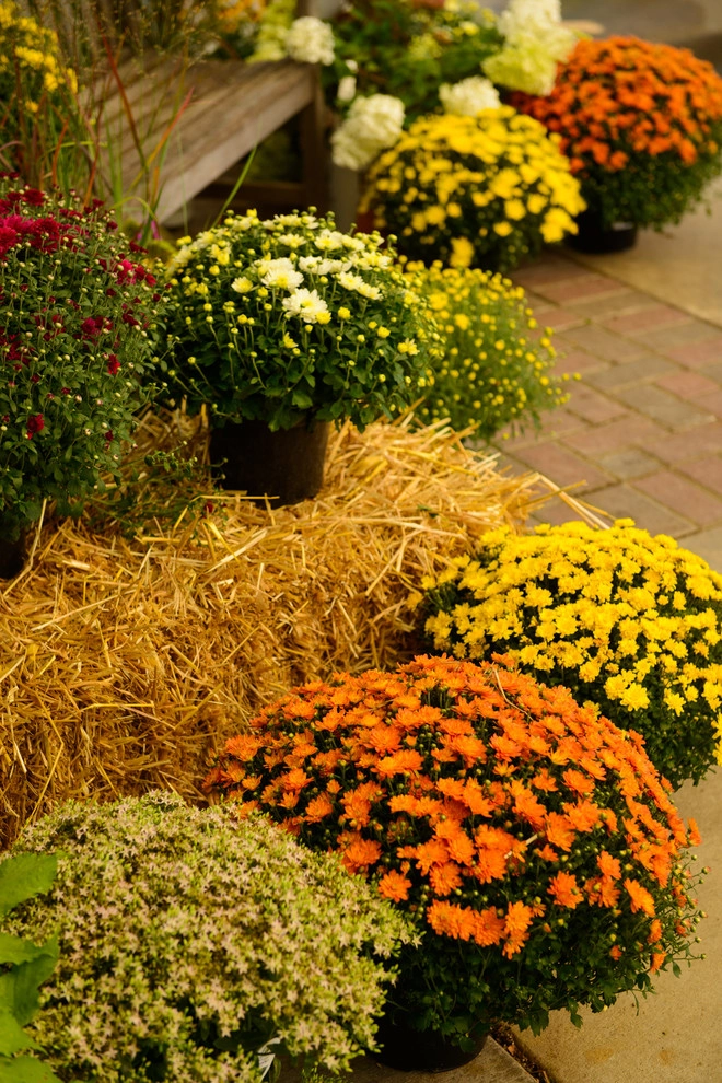 Sargent's Gardens by Sargent's Gardens - Photo 3