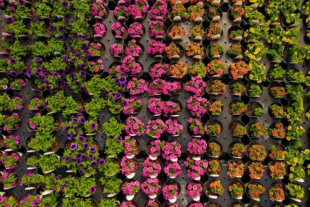 Growing Fabulous for You by Sargent's Gardens - Photo 43