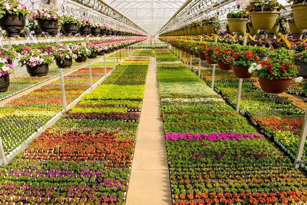 Growing Fabulous for You by Sargent's Gardens - Photo 4