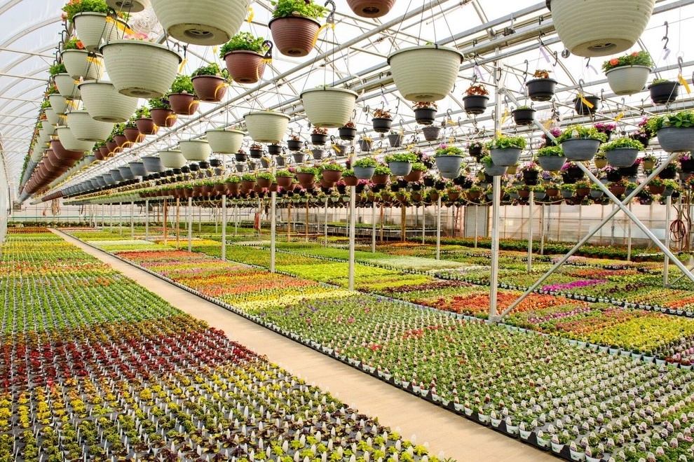 Growing Fabulous for You by Sargent's Gardens - Photo 47