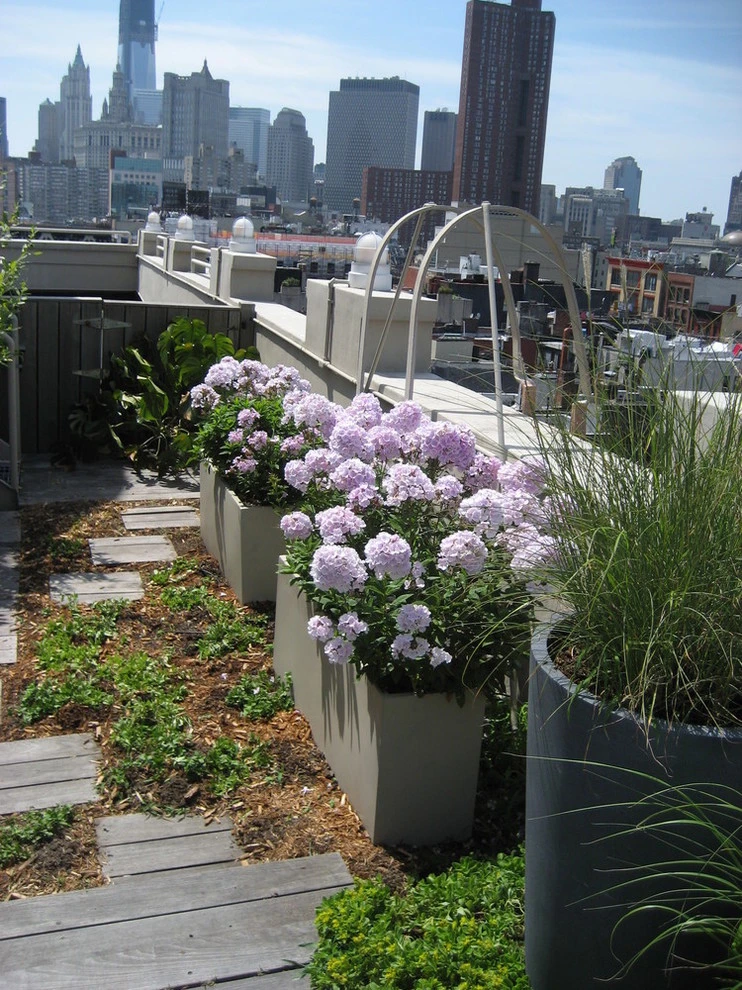 Root & Vine Gardens - Photo 2