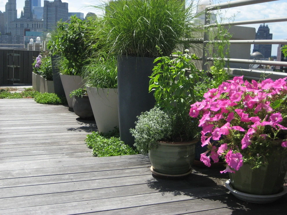 Lower East Side Rooftop Garden by Root & Vine Gardens - Photo 4
