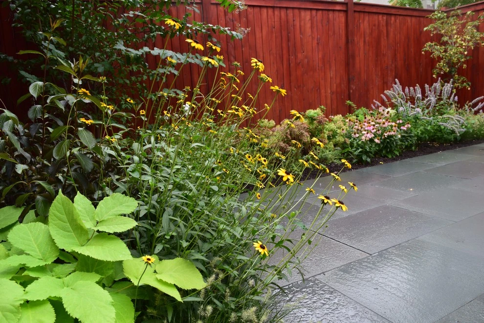 Brooklyn Backyard by Root & Vine Gardens - Photo 3