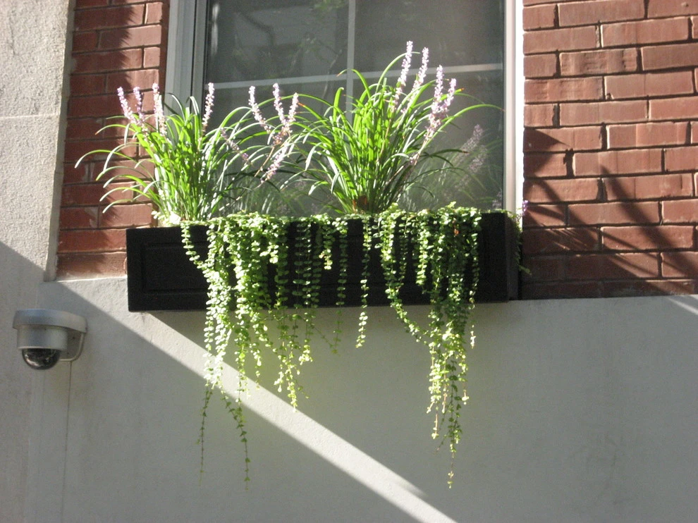 Midtown East Townhouse Garden by Root & Vine Gardens - Photo 4