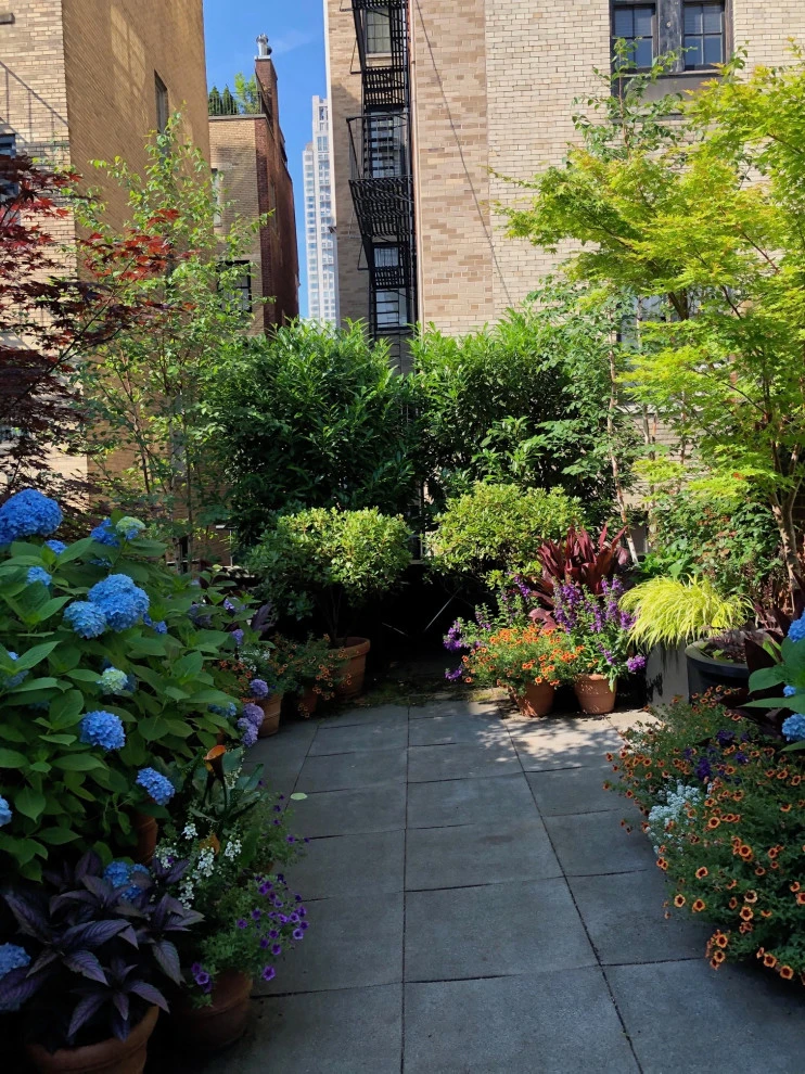 Upper East Side by Root & Vine Gardens - Photo 2