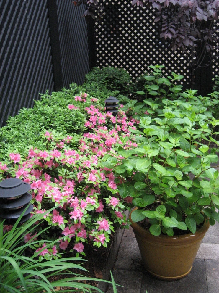 Midtown East Townhouse Garden by Root & Vine Gardens - Photo 3
