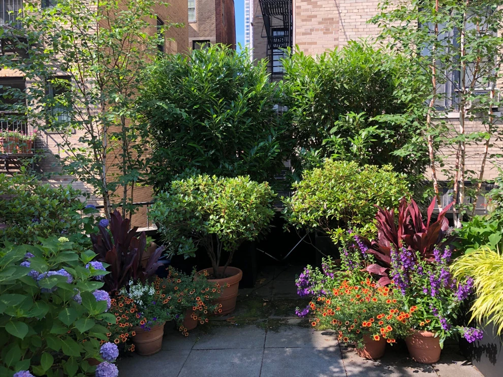 Root & Vine Gardens - Photo 14