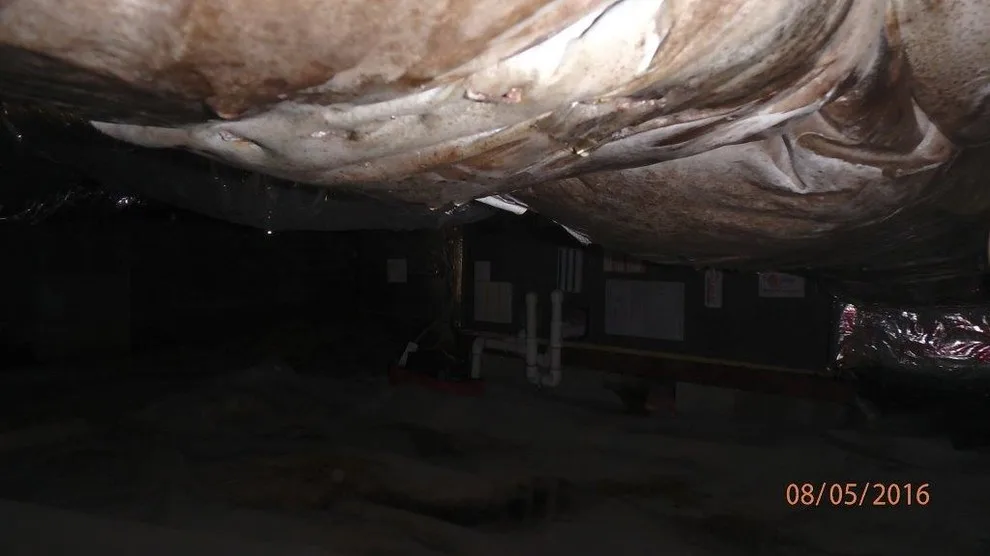 Crawl Space Sealing by GSM Services - Photo 48