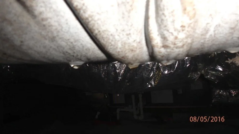 Crawl Space Sealing by GSM Services - Photo 55