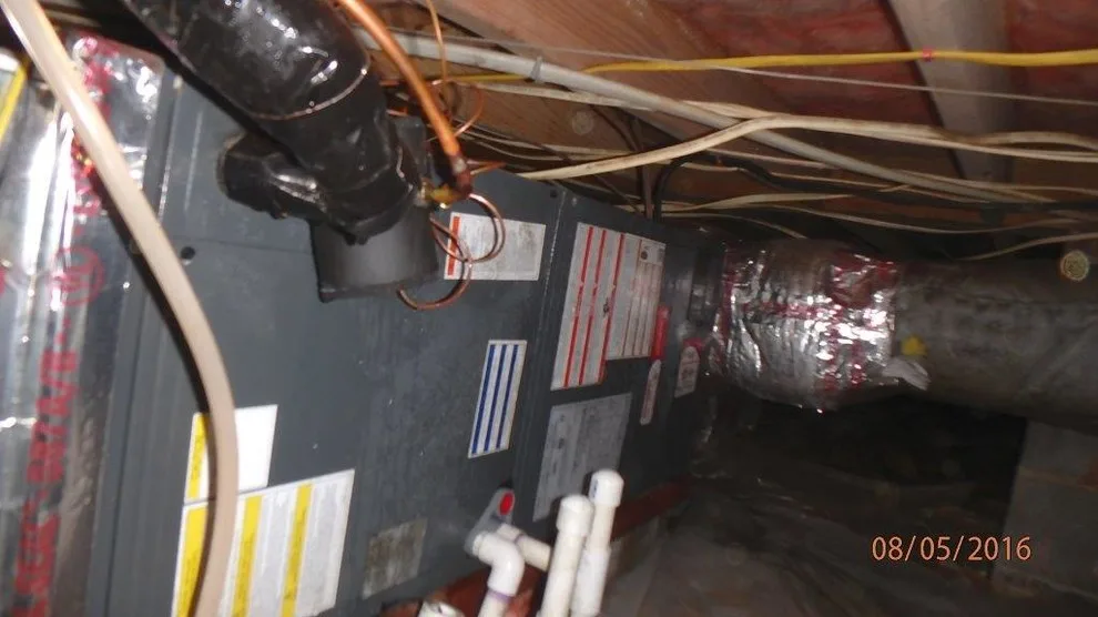 Crawl Space Sealing by GSM Services - Photo 4